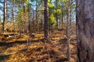 0 White Oak Rd, Stewart, TN 37175