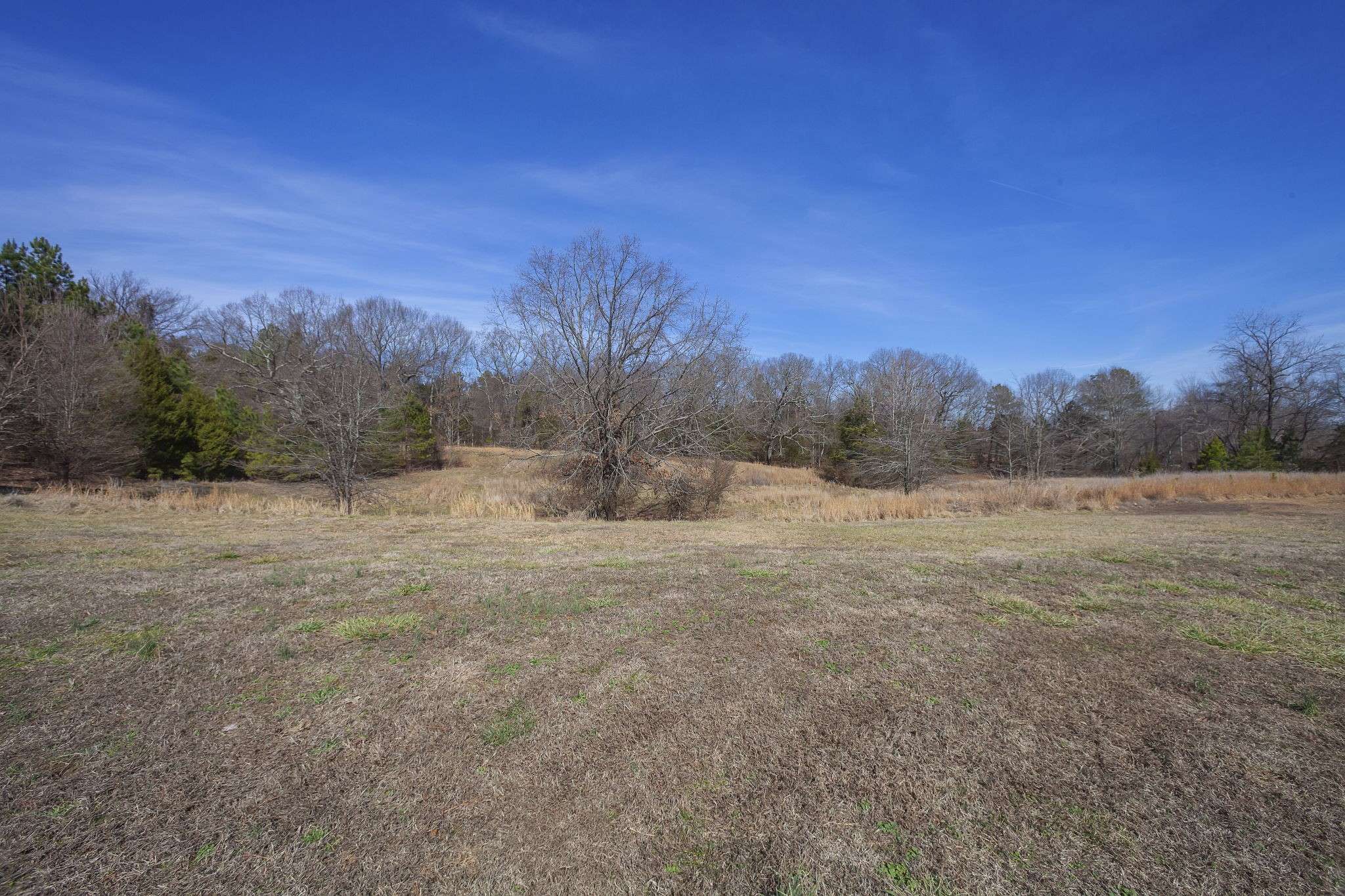 21495 Highway 79, Gadsden, TN 38337