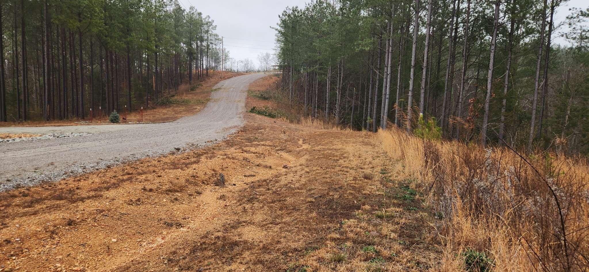 289 Center Ridge Dr, Linden, TN 37096