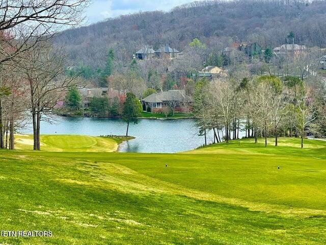 24 Chipman Court, Crossville, TN 38558