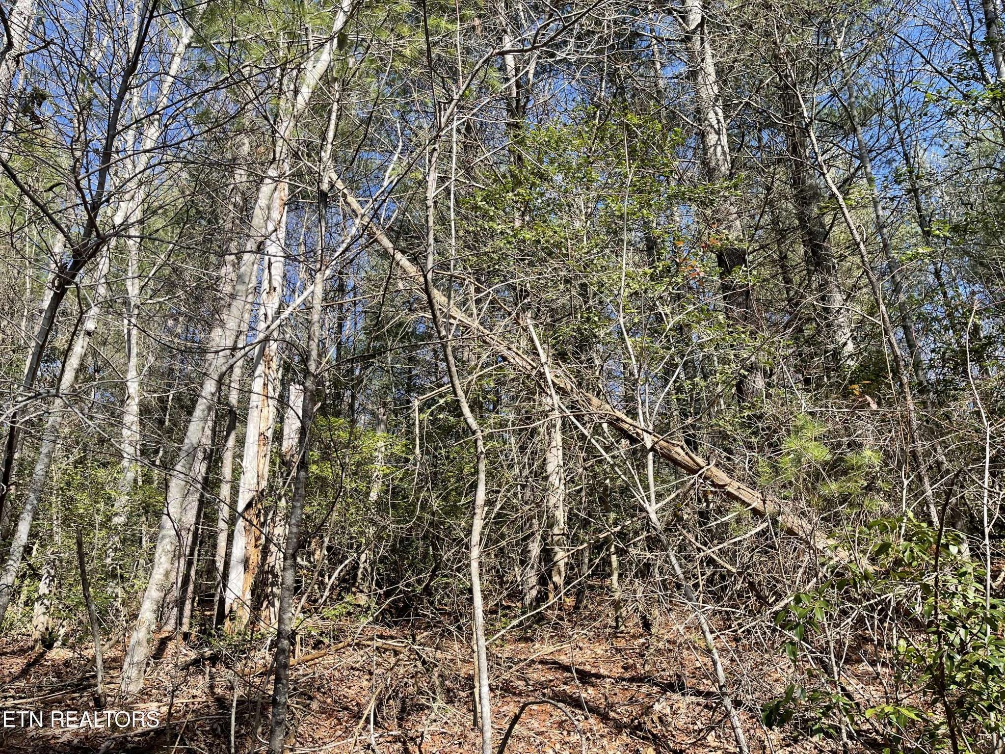 24 Chipman Court, Crossville, TN 38558