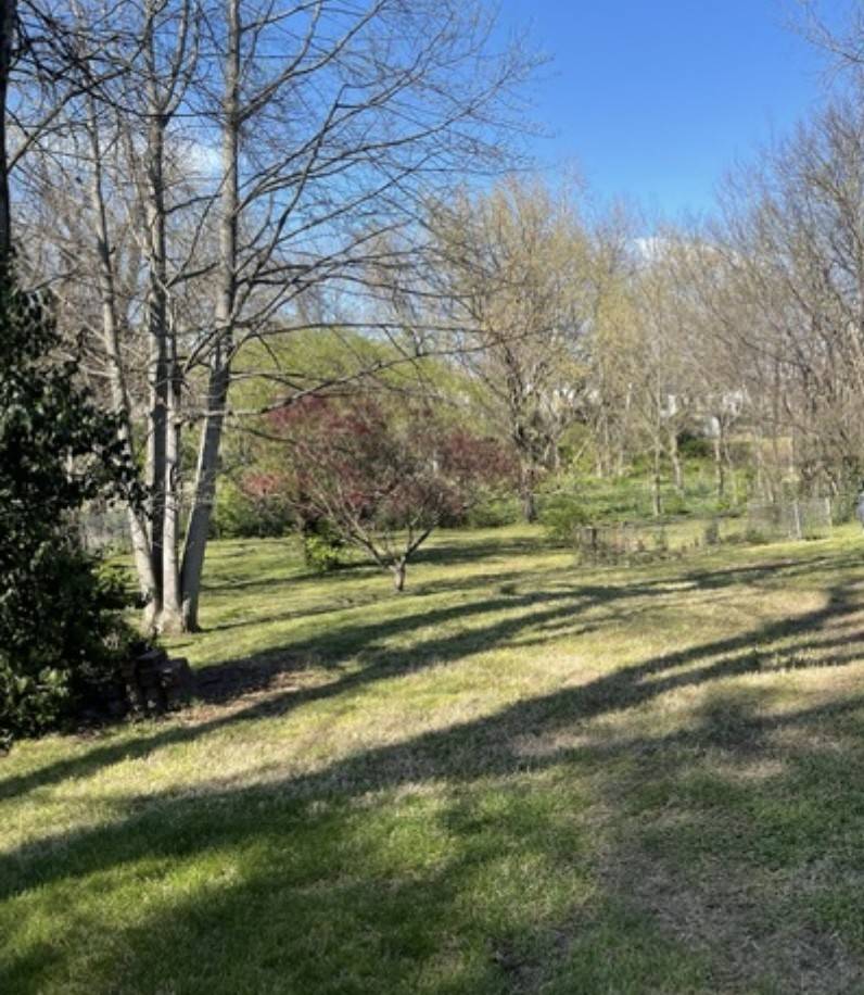 1007 Petway Ave #NE, Nashville, TN 37206
