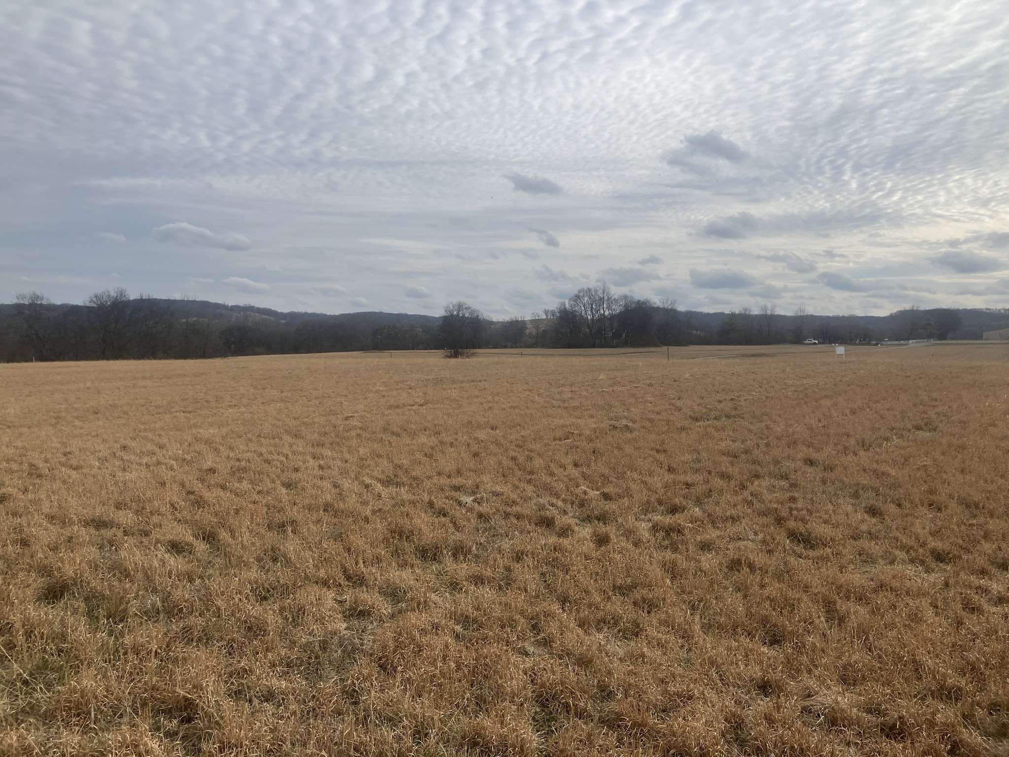 7 Southport RD, Mount Pleasant, TN 38474
