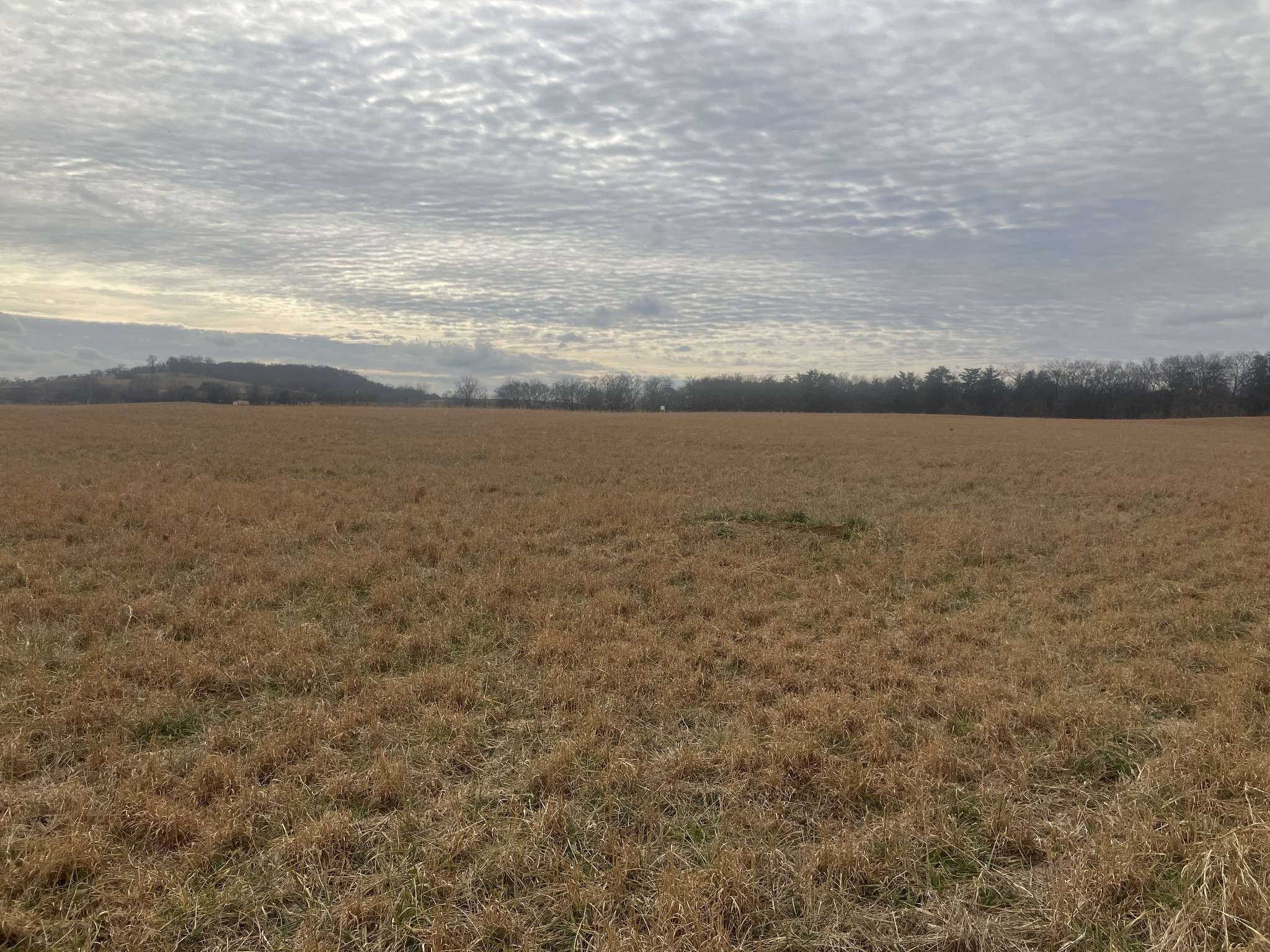7 Southport RD, Mount Pleasant, TN 38474