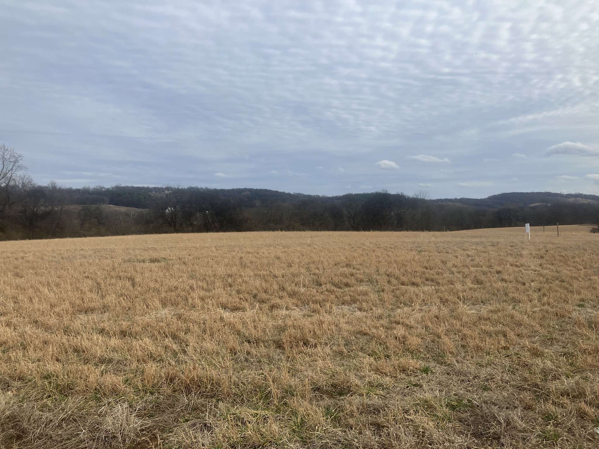 7 Southport RD, Mount Pleasant, TN 38474