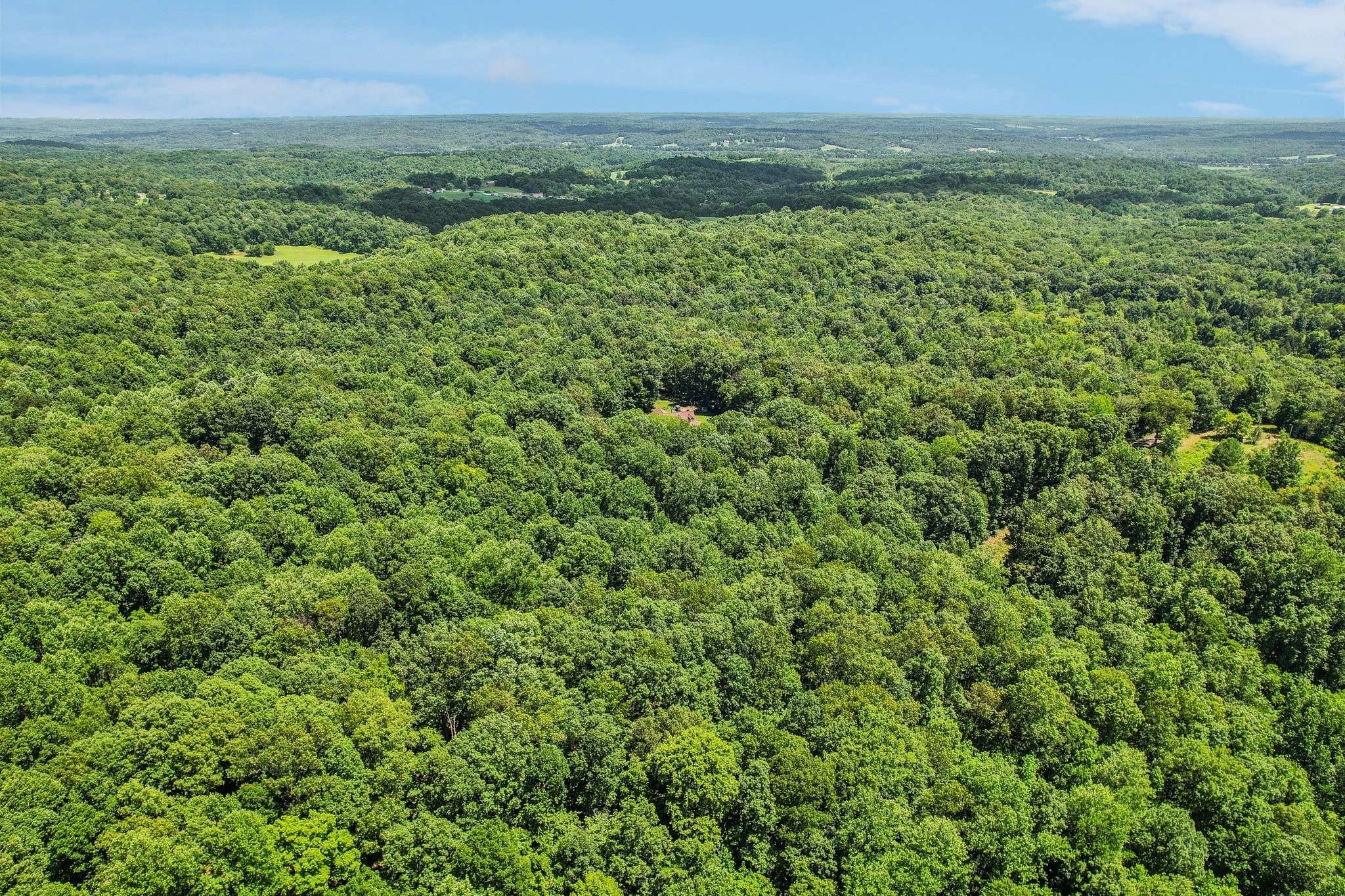 4645 Frankie Rd, Indian Mound, TN 37079