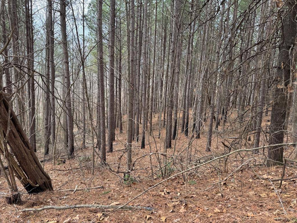 613 Williams Grove Rd, Camden, TN 38320