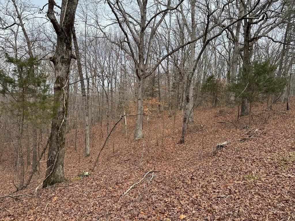 613 Williams Grove Rd, Camden, TN 38320