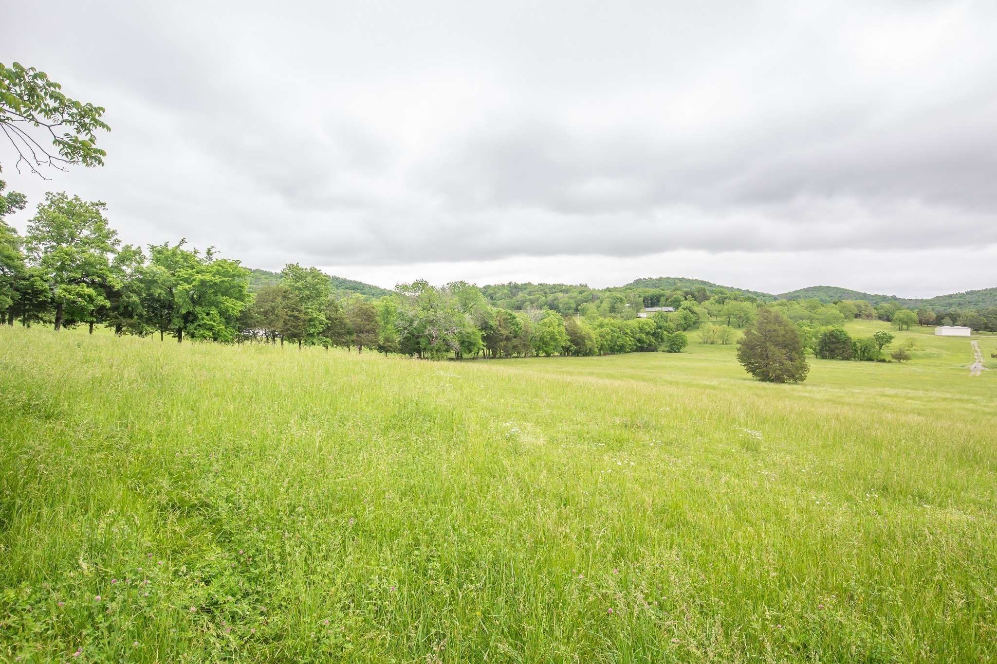 521 Coop Rd, Bell Buckle, TN 37020