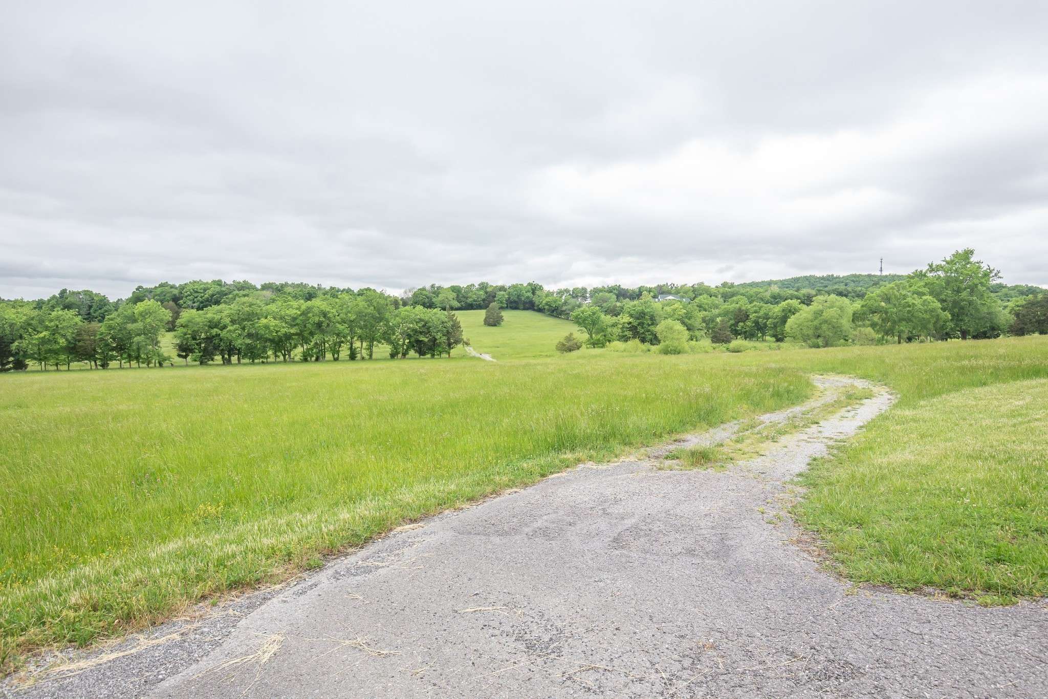 521 Coop Rd, Bell Buckle, TN 37020