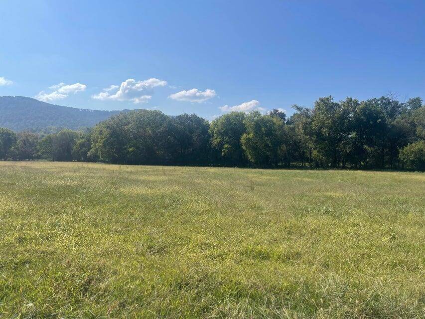 12 Upper East Valley, Pikeville, TN 37367