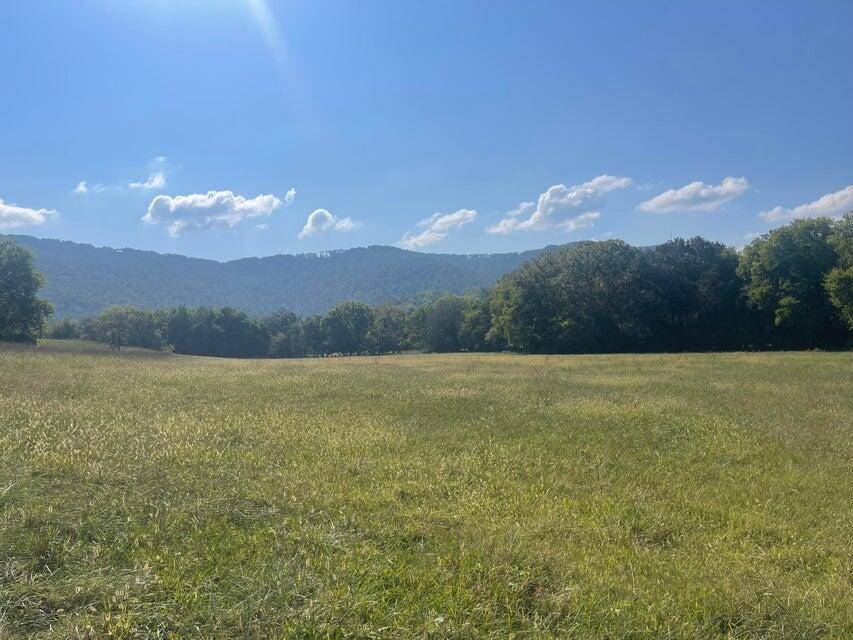 12 Upper East Valley, Pikeville, TN 37367
