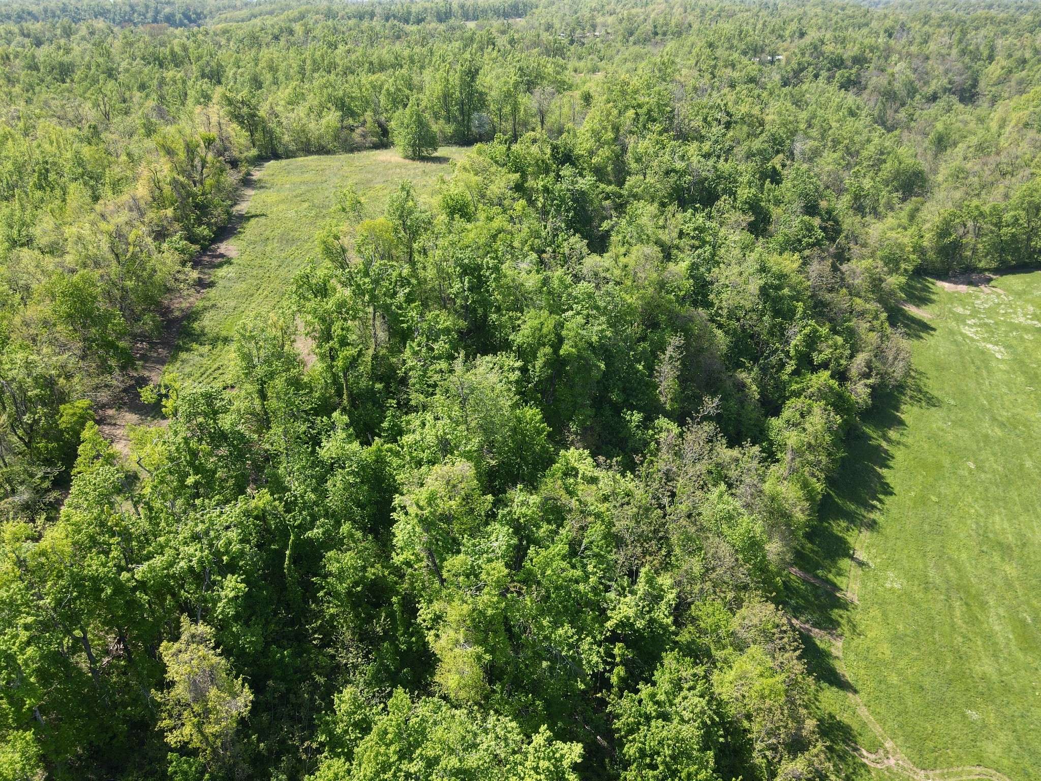 0 Woody End Lane, Beechgrove, TN 37018
