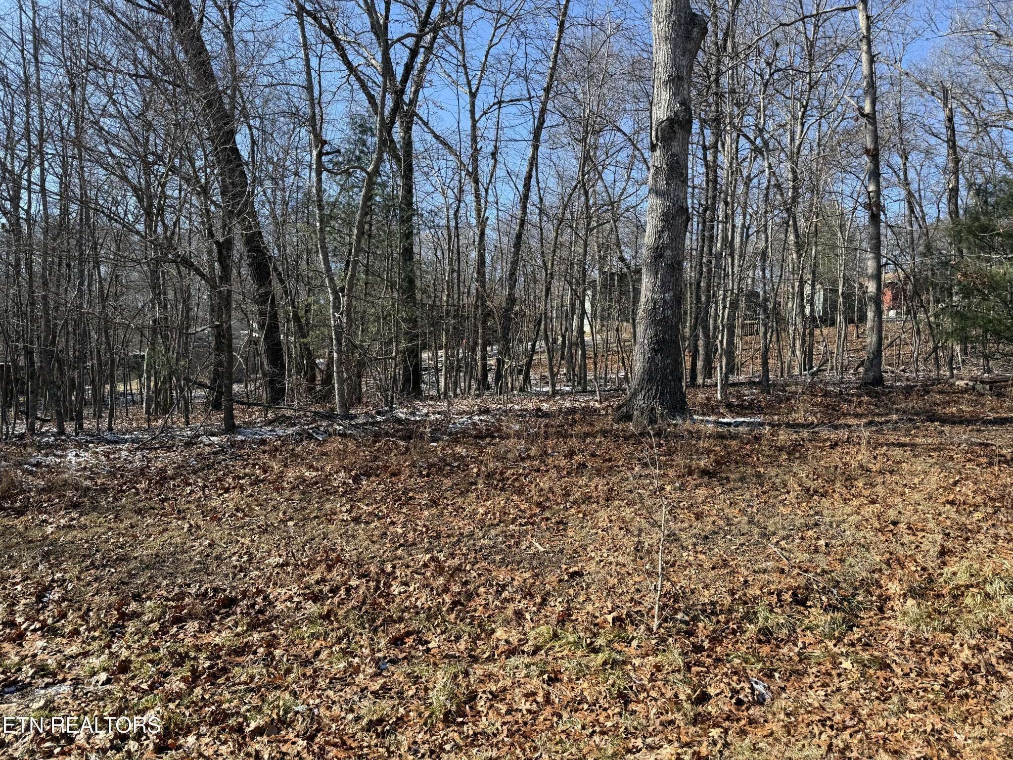 116 Kings Down Drive, Crossville, TN 38558