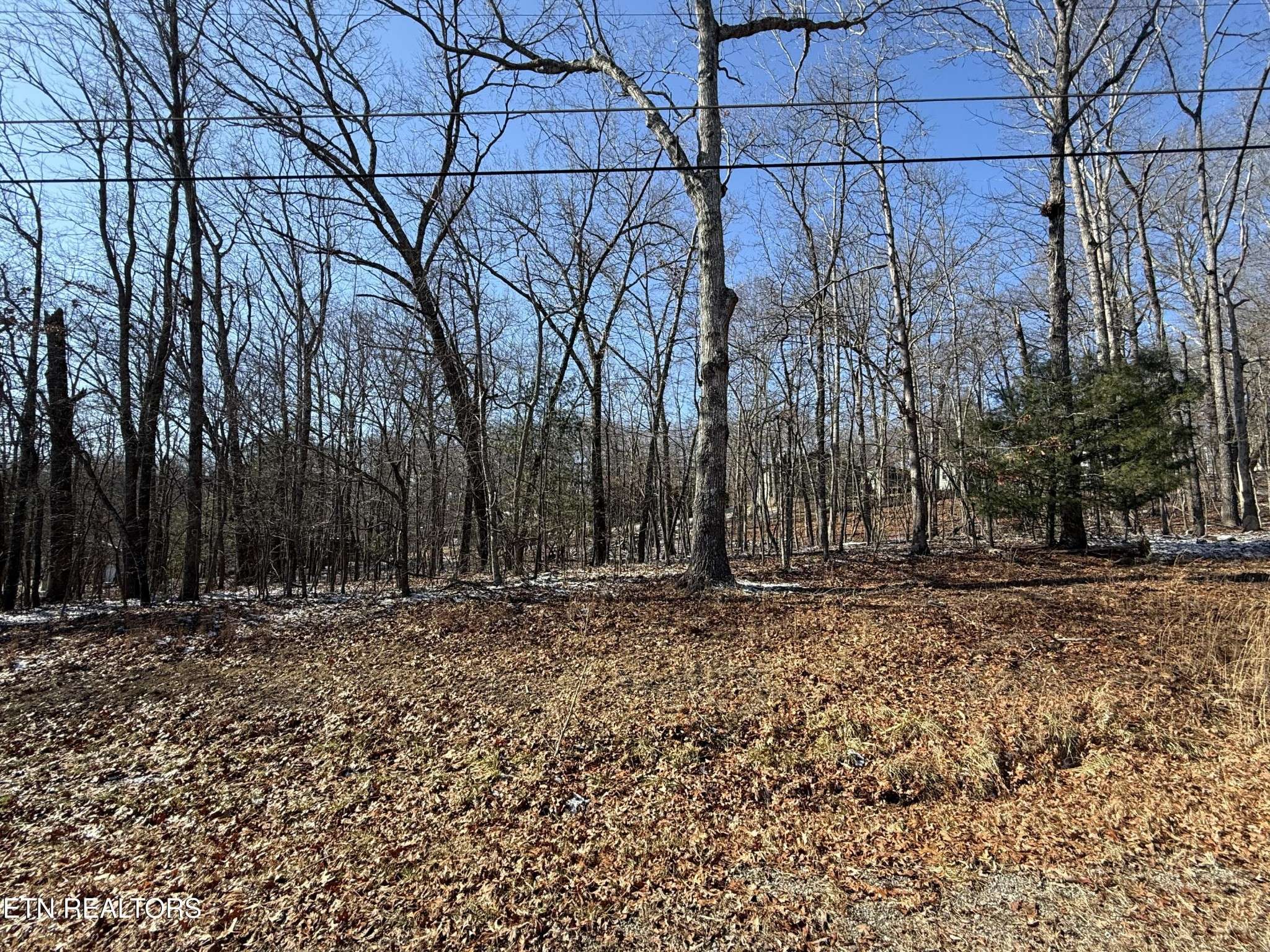 116 Kings Down Drive, Crossville, TN 38558