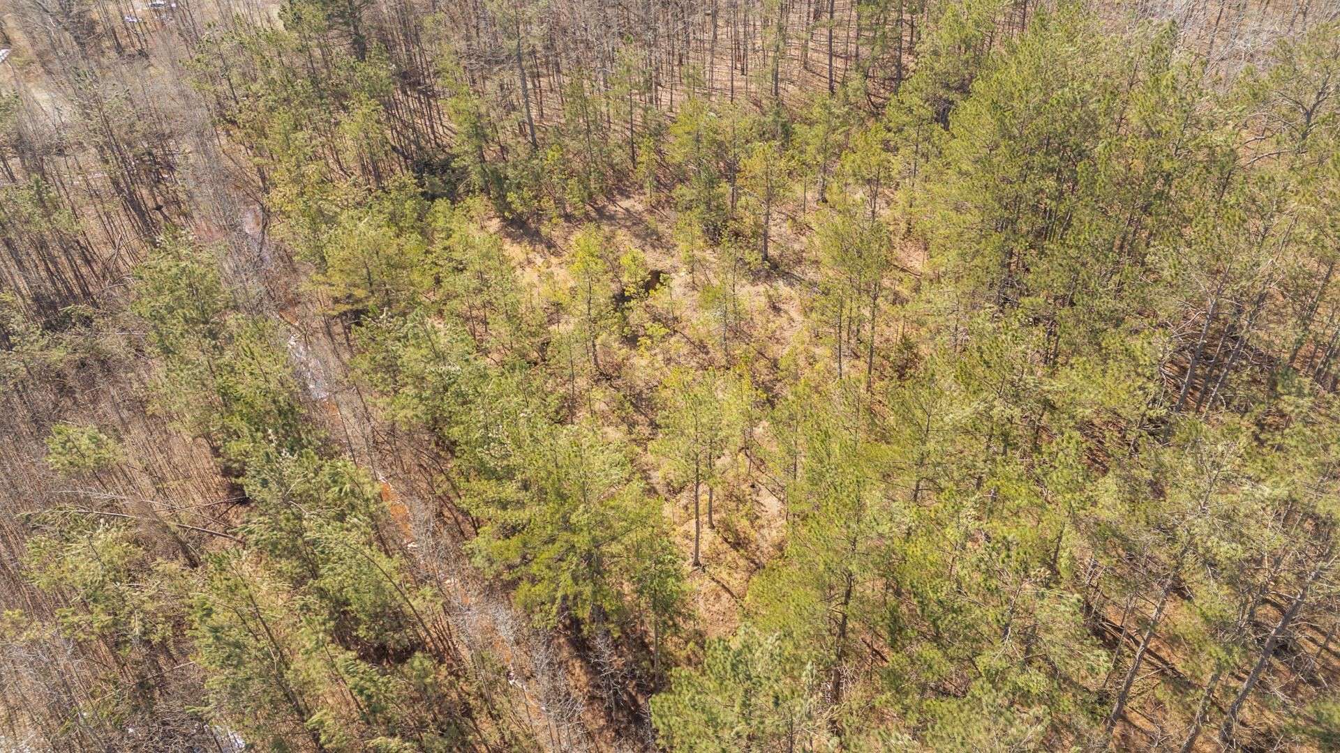 0 MULBERRY AVE, Selmer, TN 38375