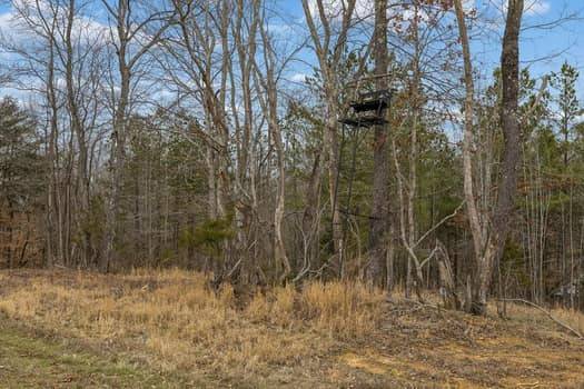 0 Mosley Ferry Rd, Ashland City, TN 37015
