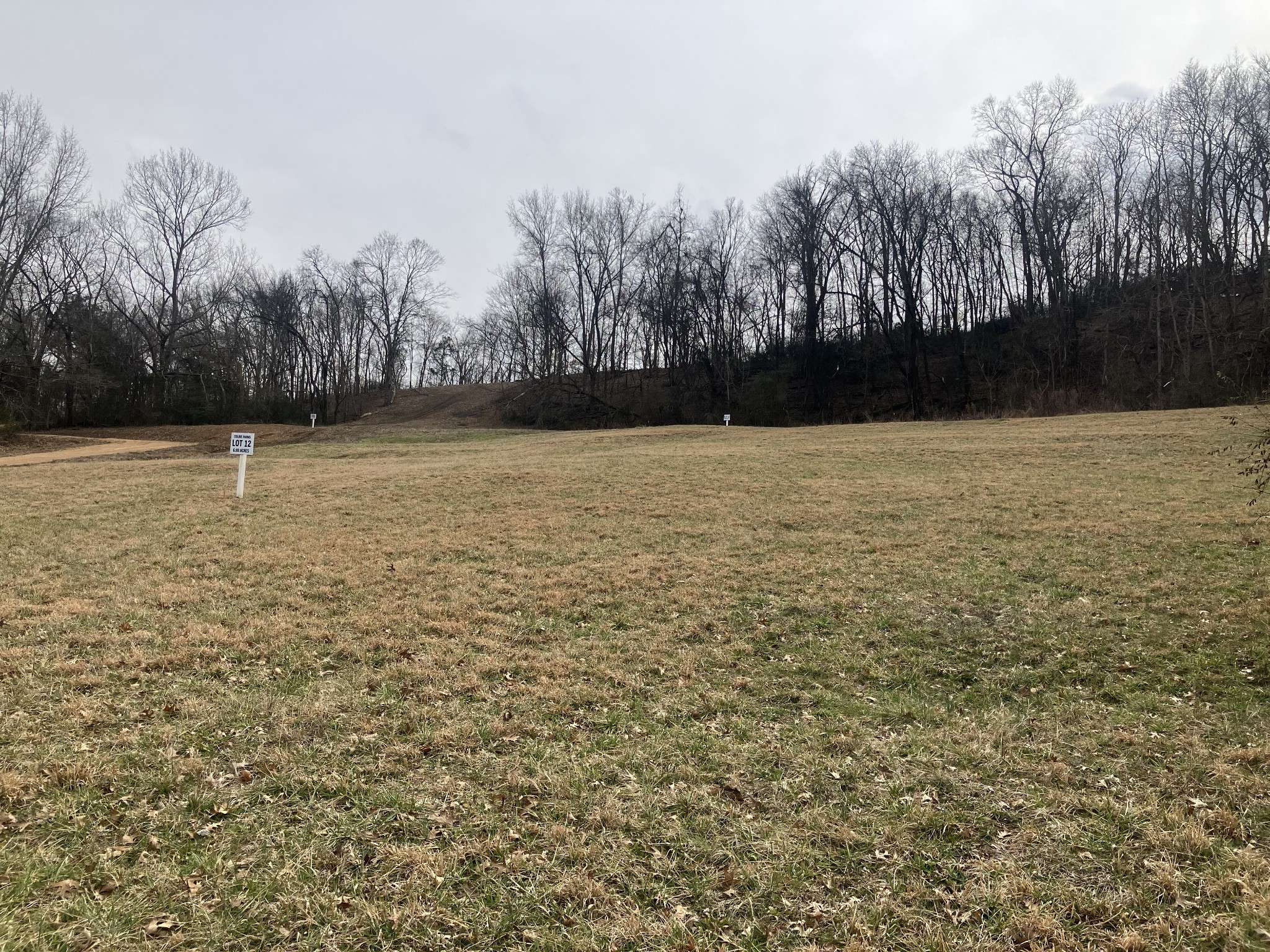 12 Booker Ridge RD, Mount Pleasant, TN 38474