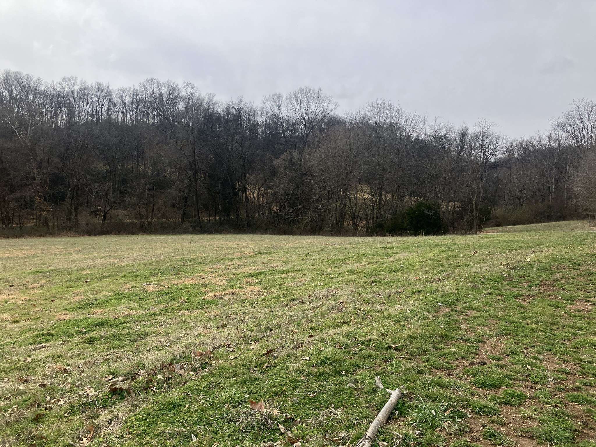 12 Booker Ridge RD, Mount Pleasant, TN 38474