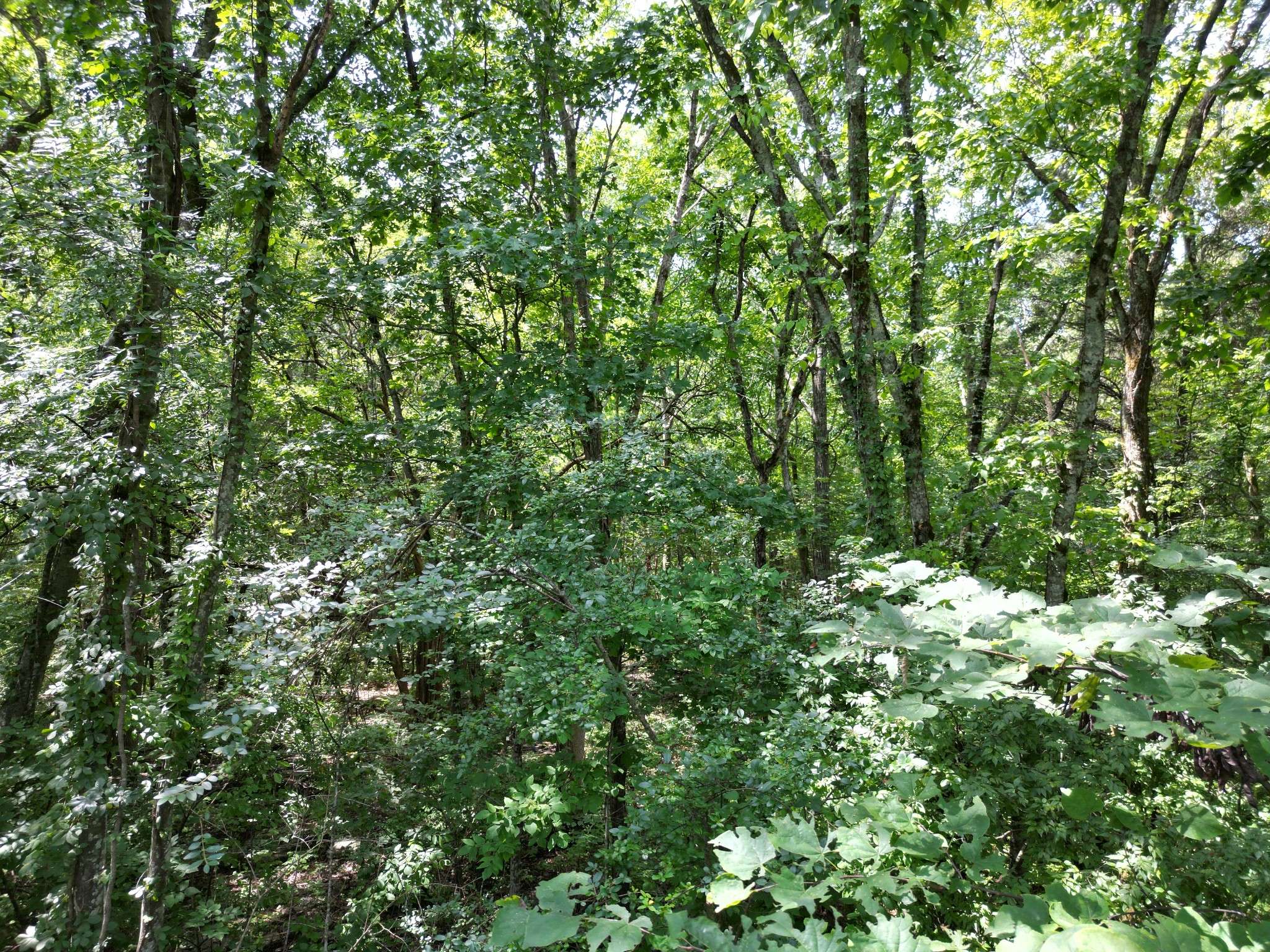 4025 Leanna Rd, Murfreesboro, TN 37129