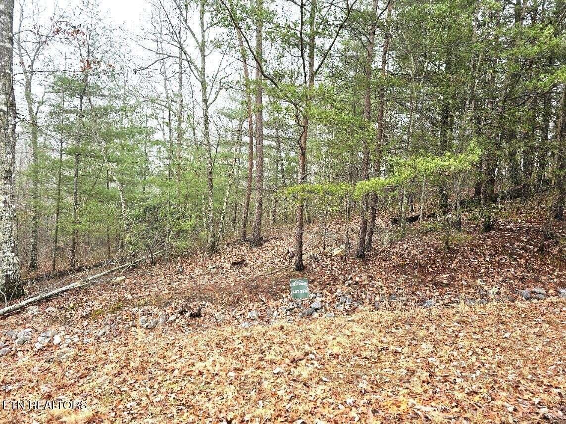 514 Percussion Court, Walland, TN 37886