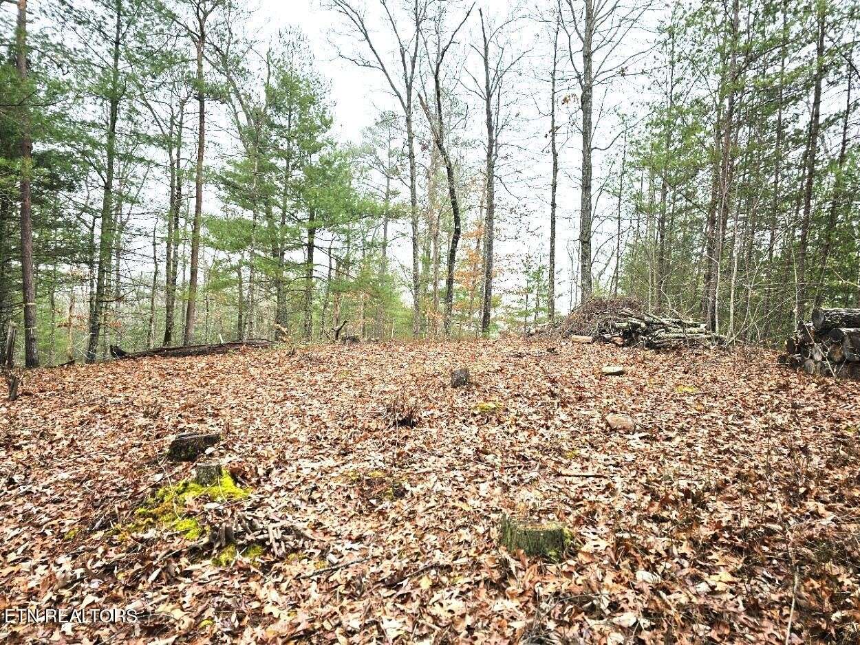 514 Percussion Court, Walland, TN 37886