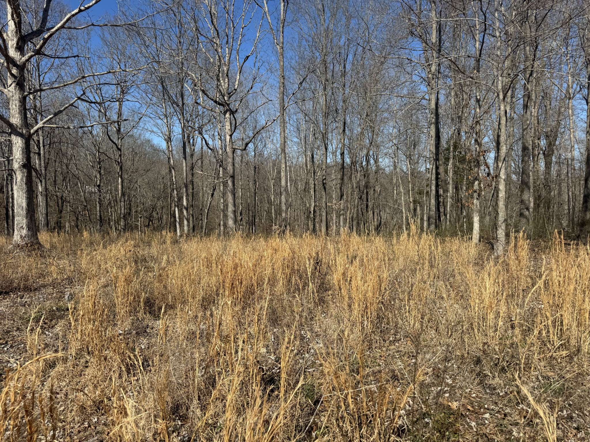 0 Primm Rd, Ashland City, TN 37015