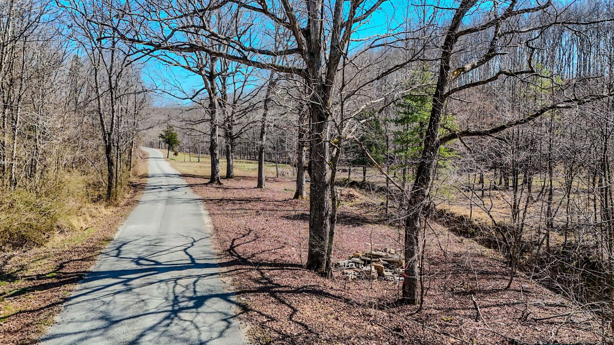 375 Roanoke Creek Rd, Collinwood, TN 38450