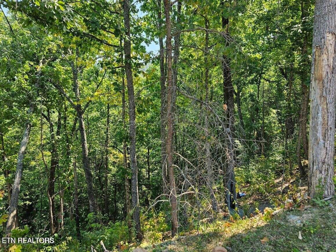 13 Villa Ridge Place, Sevierville, TN 37862