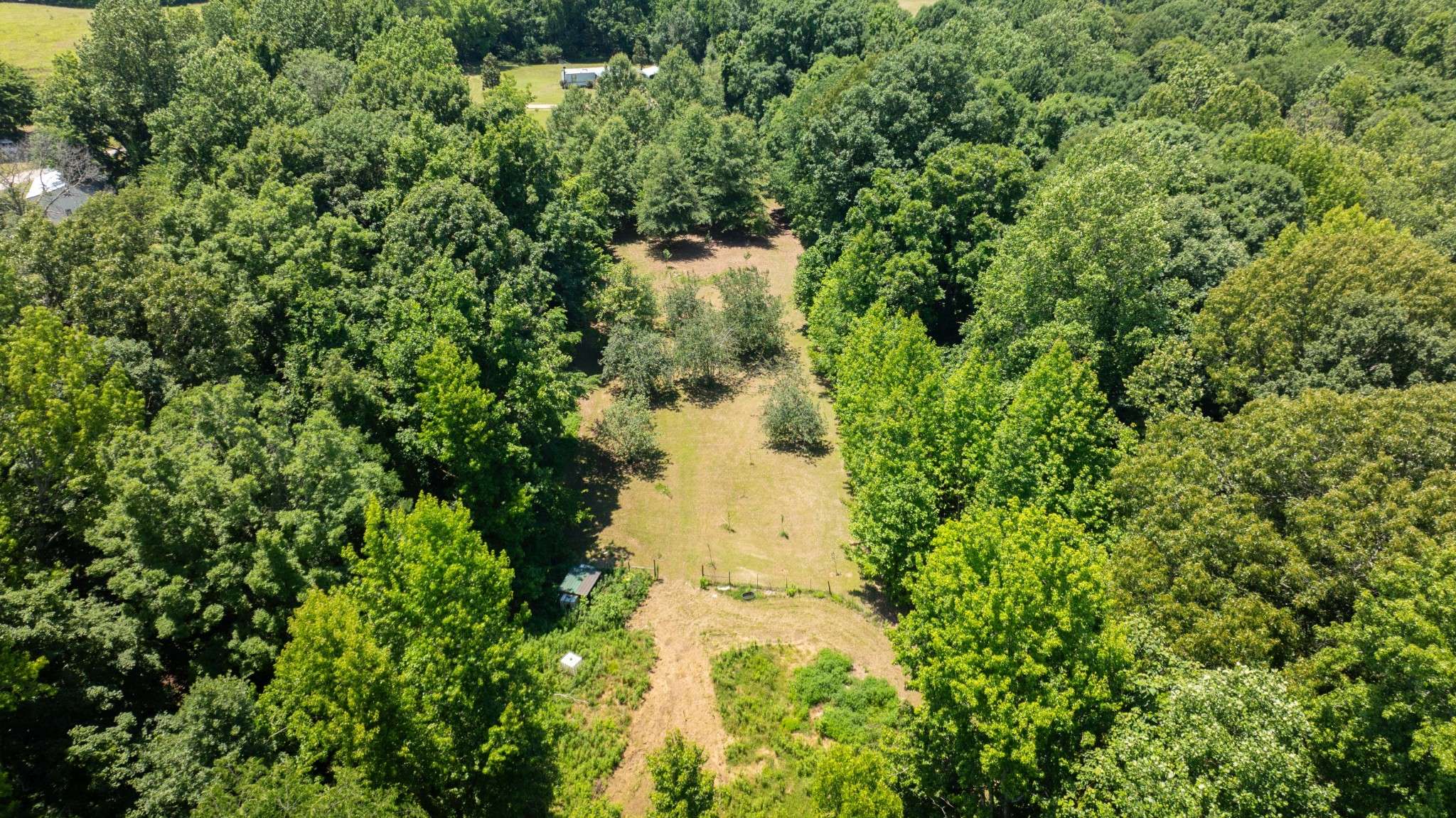 710 Porters Gap Rd, Ripley, TN 38063