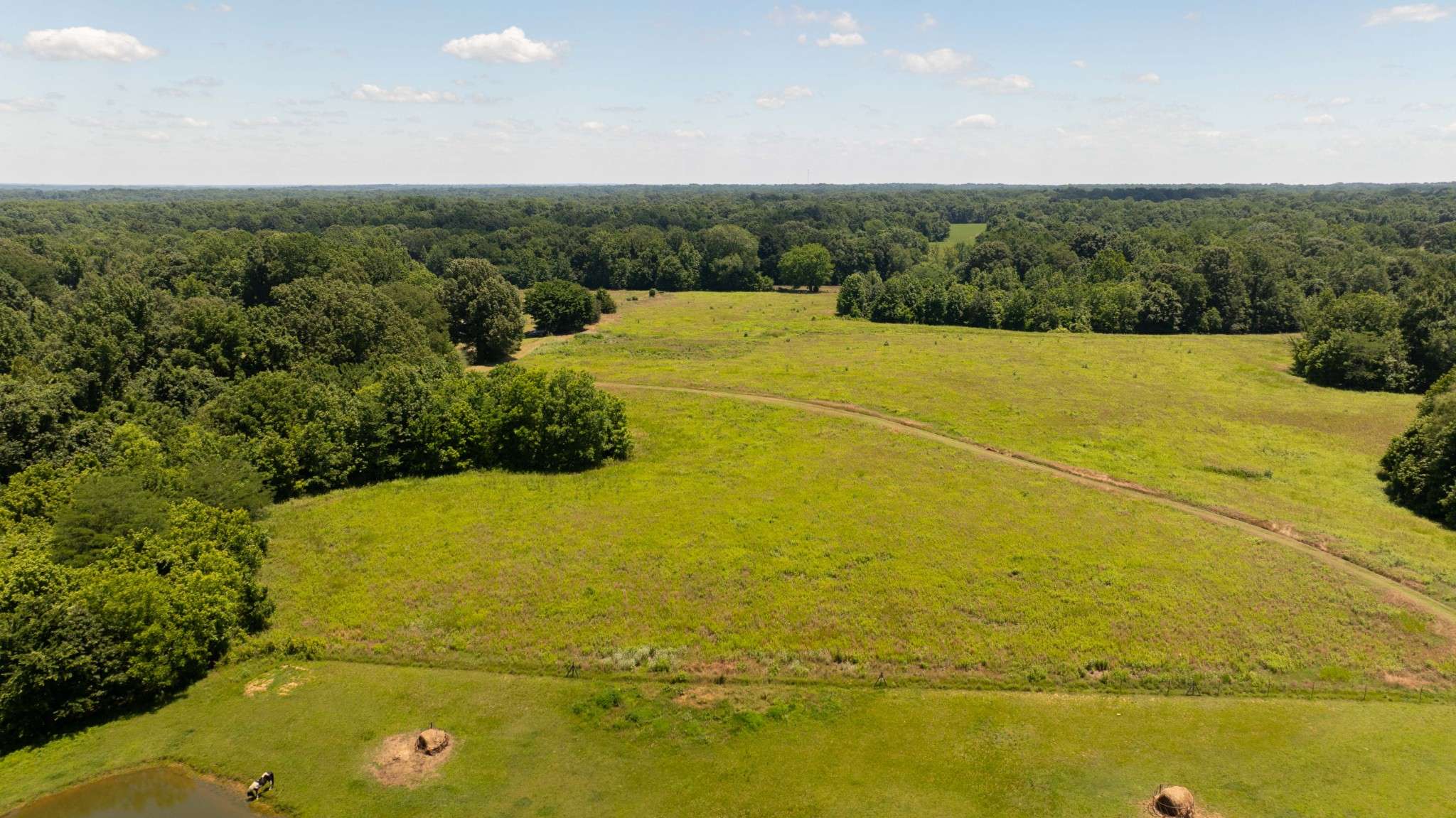 710 Porters Gap Rd, Ripley, TN 38063