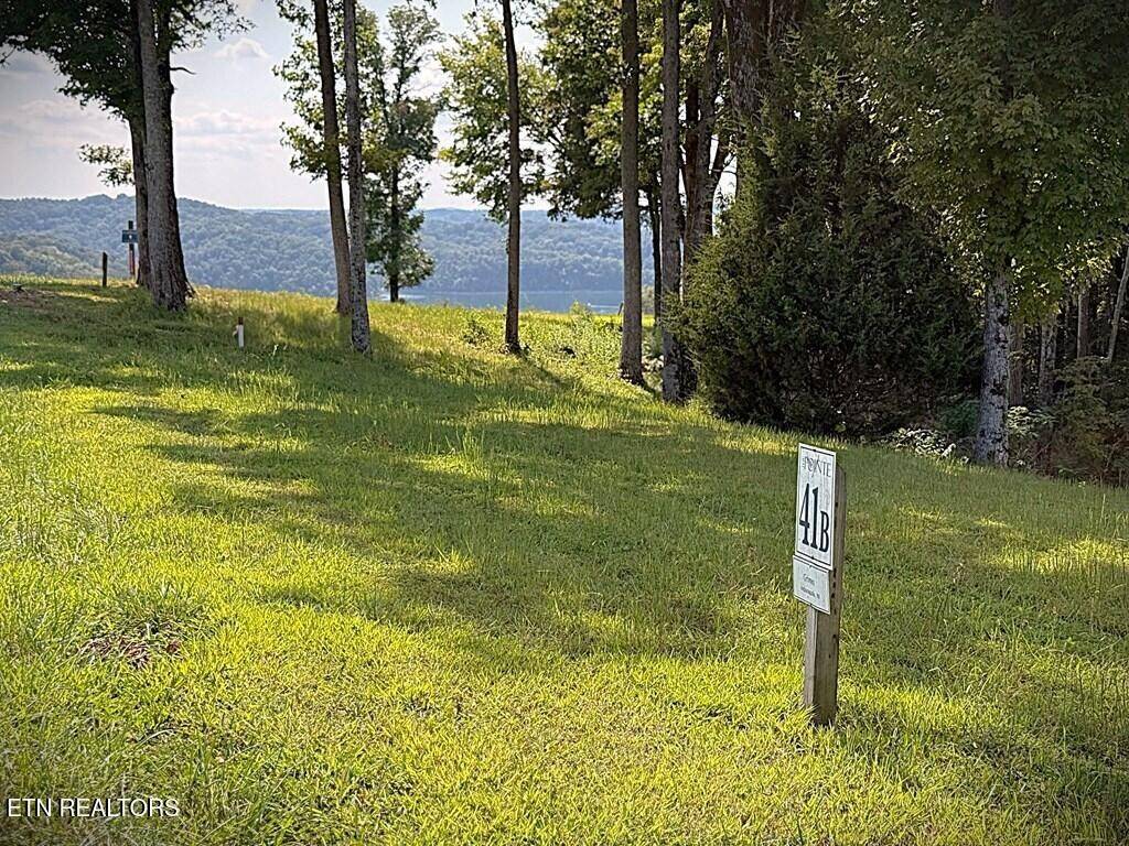 41 Bald Eagle Rd, Hilham, TN 38568