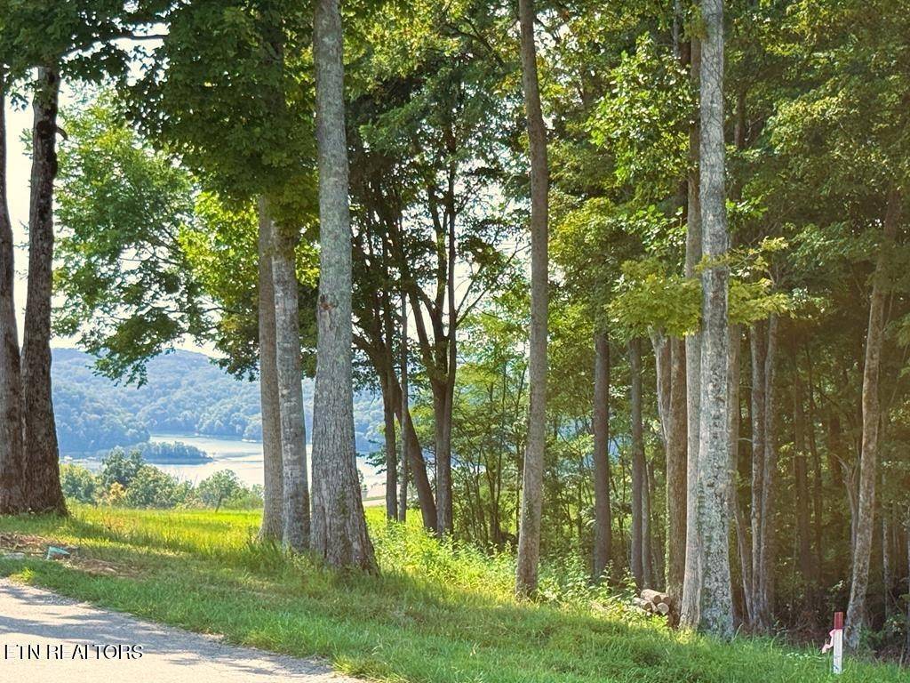 41 Bald Eagle Rd, Hilham, TN 38568