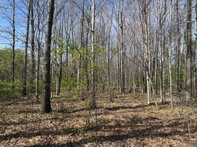 0 Shellsford Rd, Mc Minnville, TN 37110