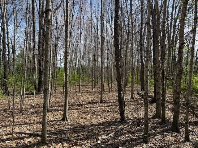 0 Shellsford Rd, Mc Minnville, TN 37110