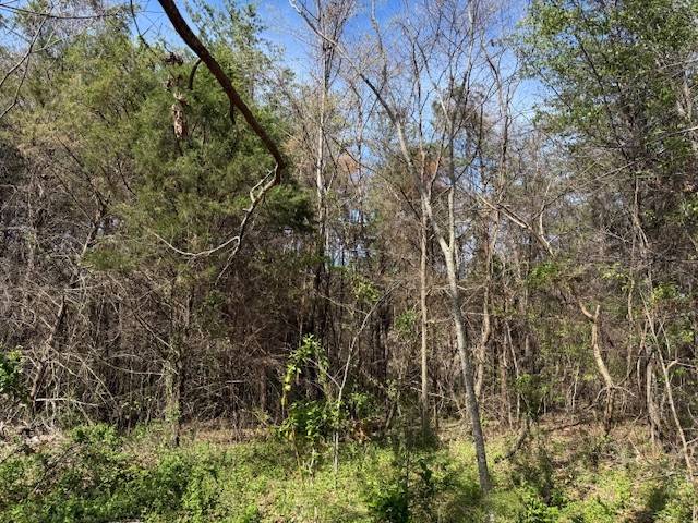 0 Shellsford Rd, Mc Minnville, TN 37110