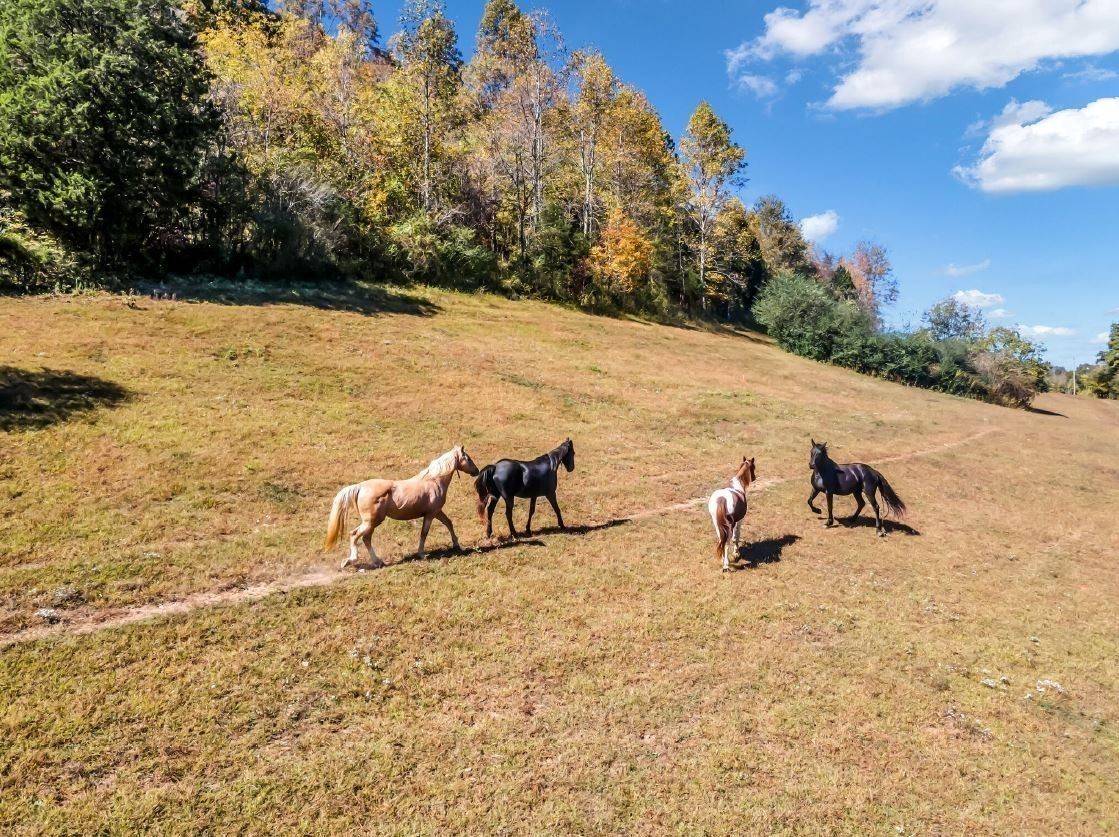 13581 Campbellsville Rd, Lynnville, TN 38472