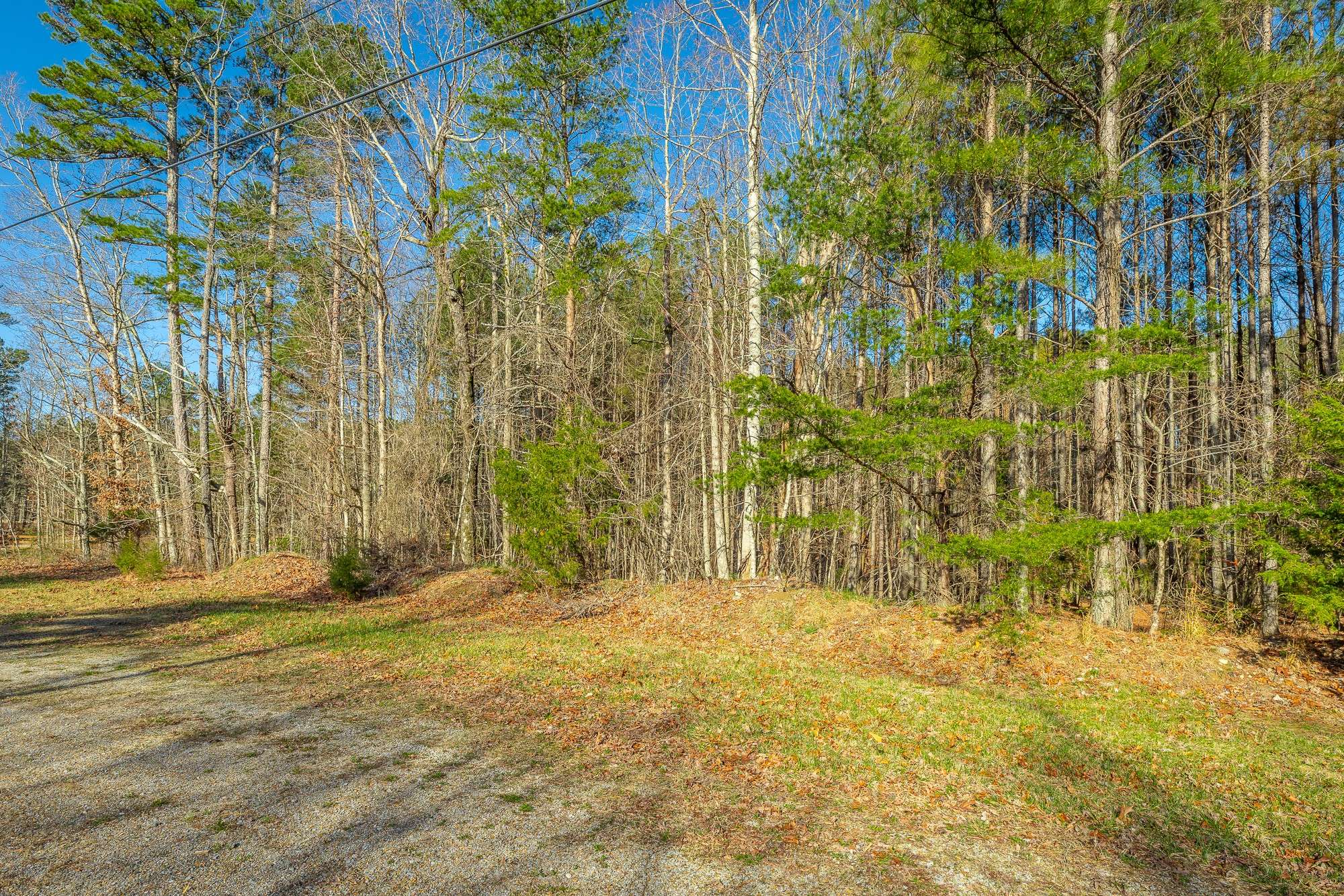10147 S Pittsburg Mountain Road, South Pittsburg, TN 37380