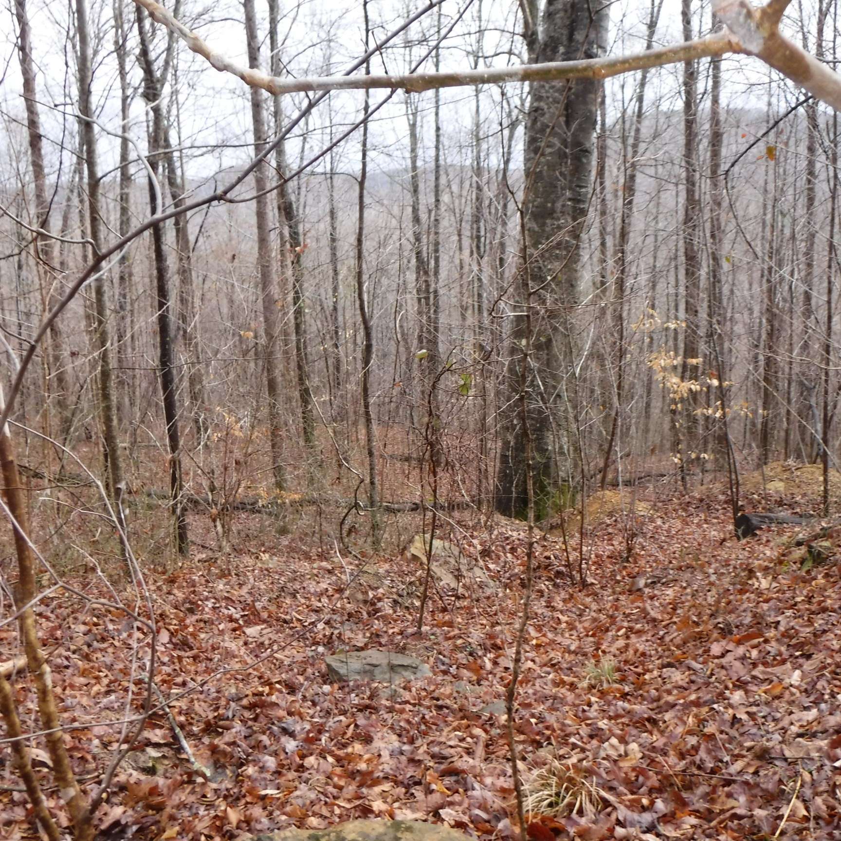 0 Cheyenne Drive, Jamestown, TN 38556