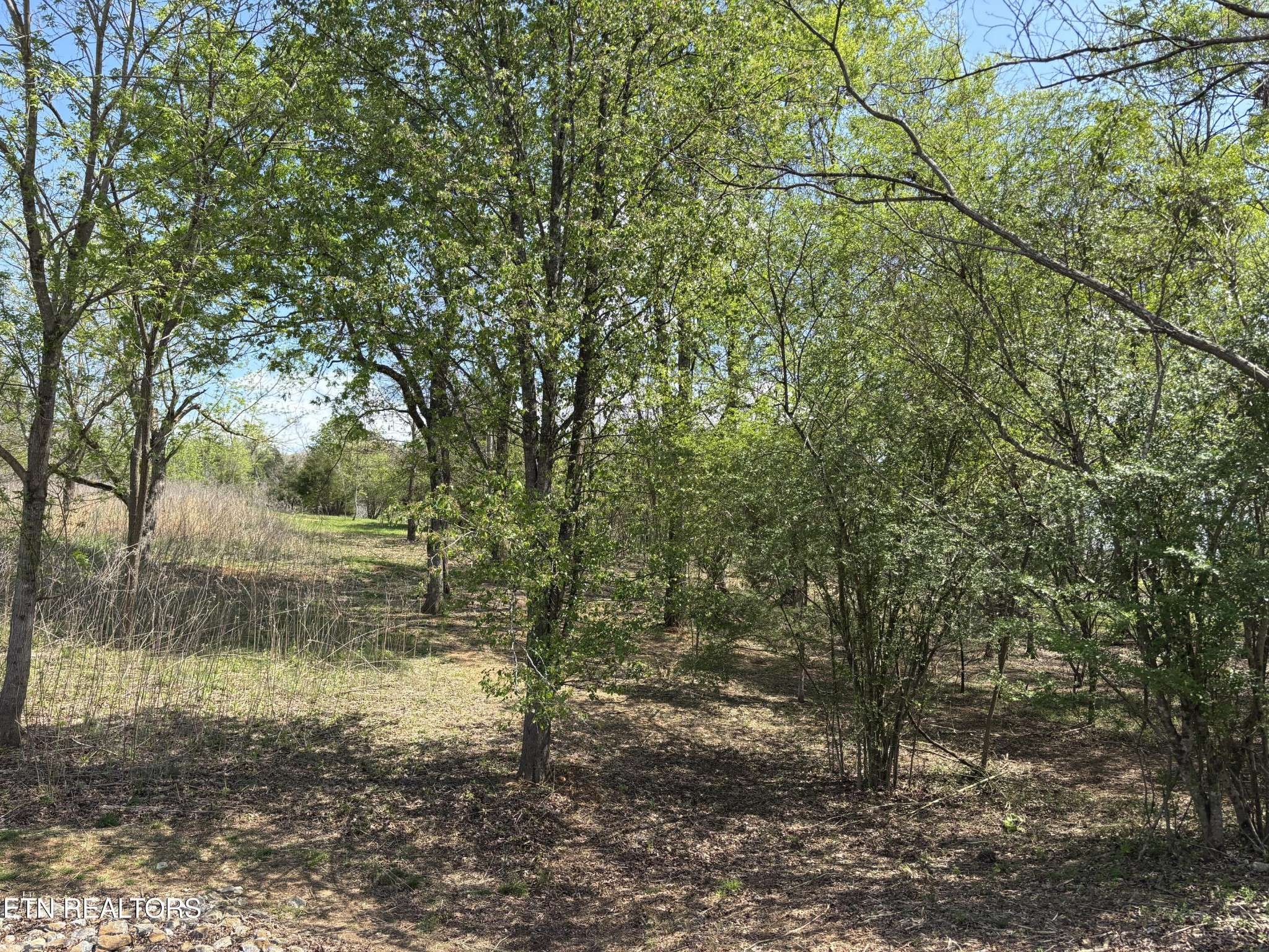 0 E Shore Drive, Rockwood, TN 37854