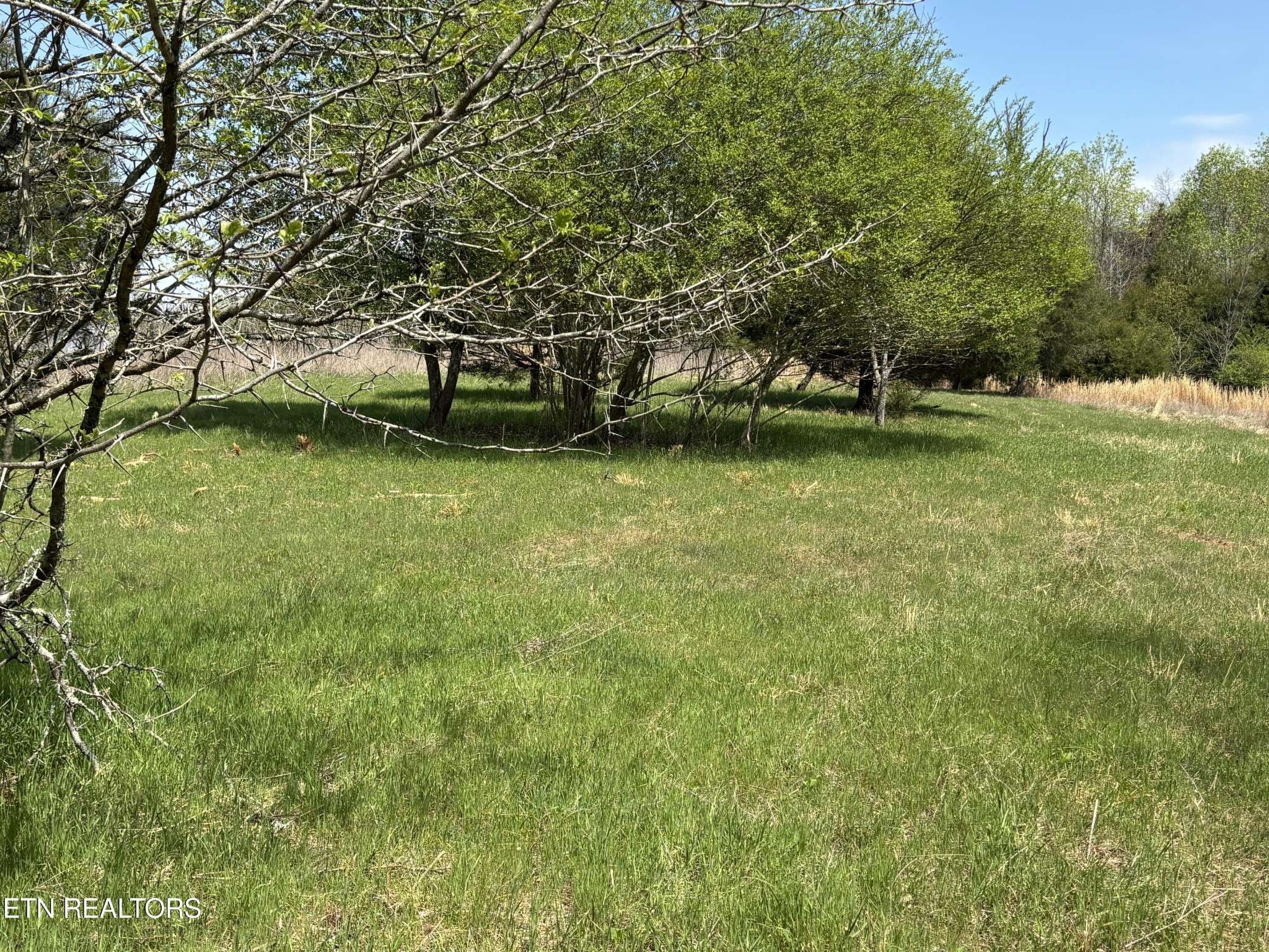 0 E Shore Drive, Rockwood, TN 37854