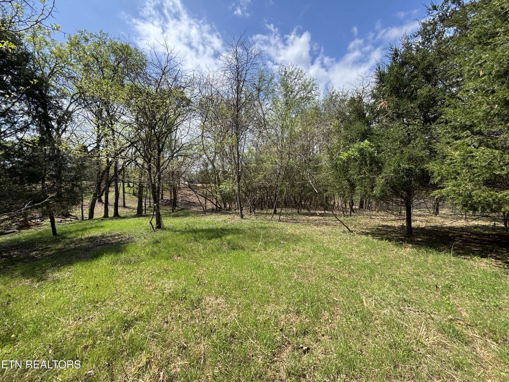 0 E Shore Drive, Rockwood, TN 37854