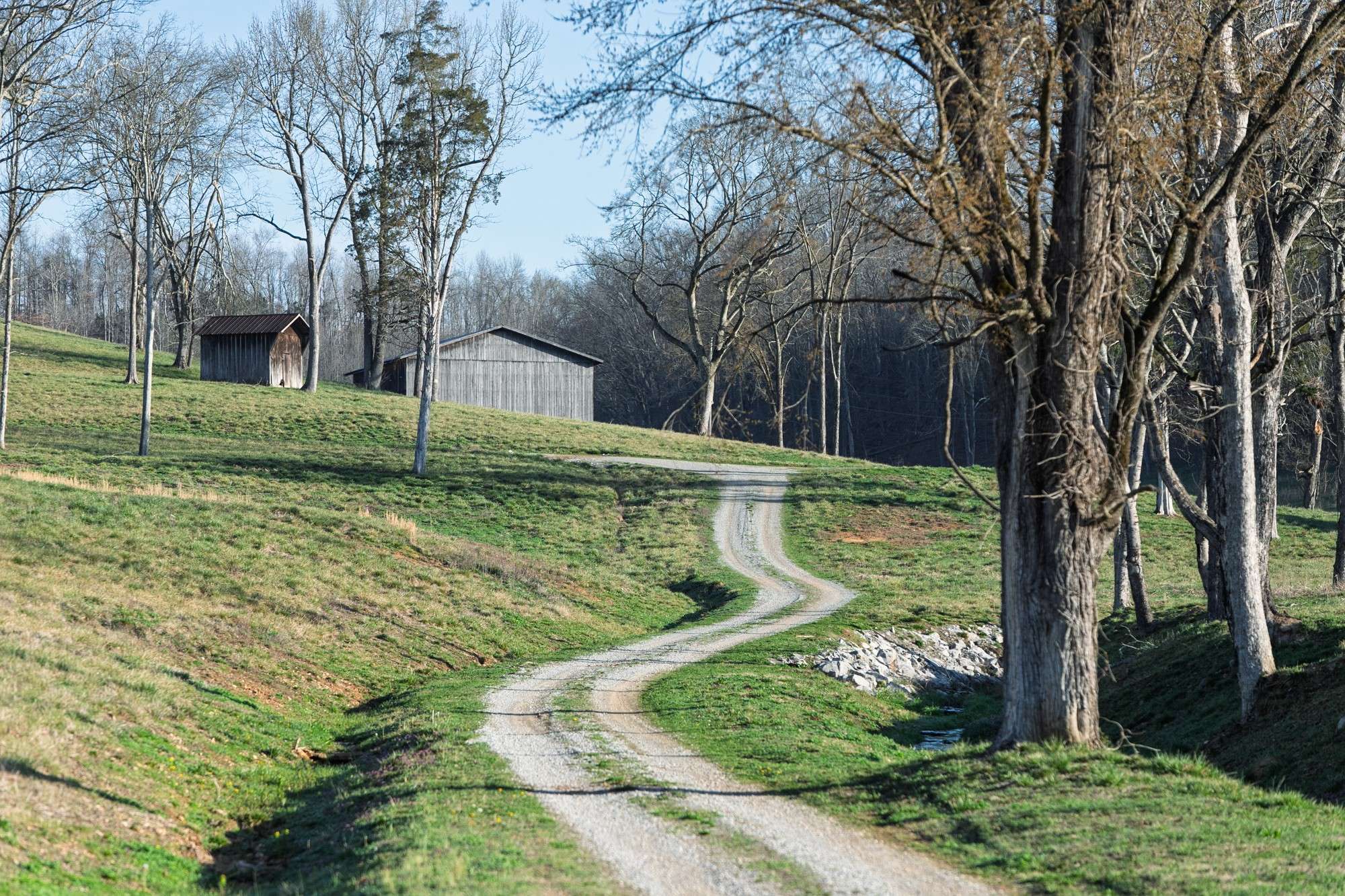 4648 Love Branch Rd, Hampshire, TN 38461