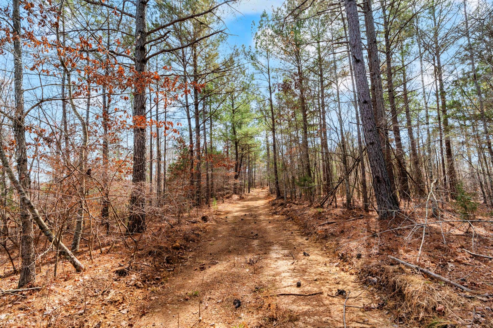 0 Jay Hutchings Road, Sparta, TN 38583