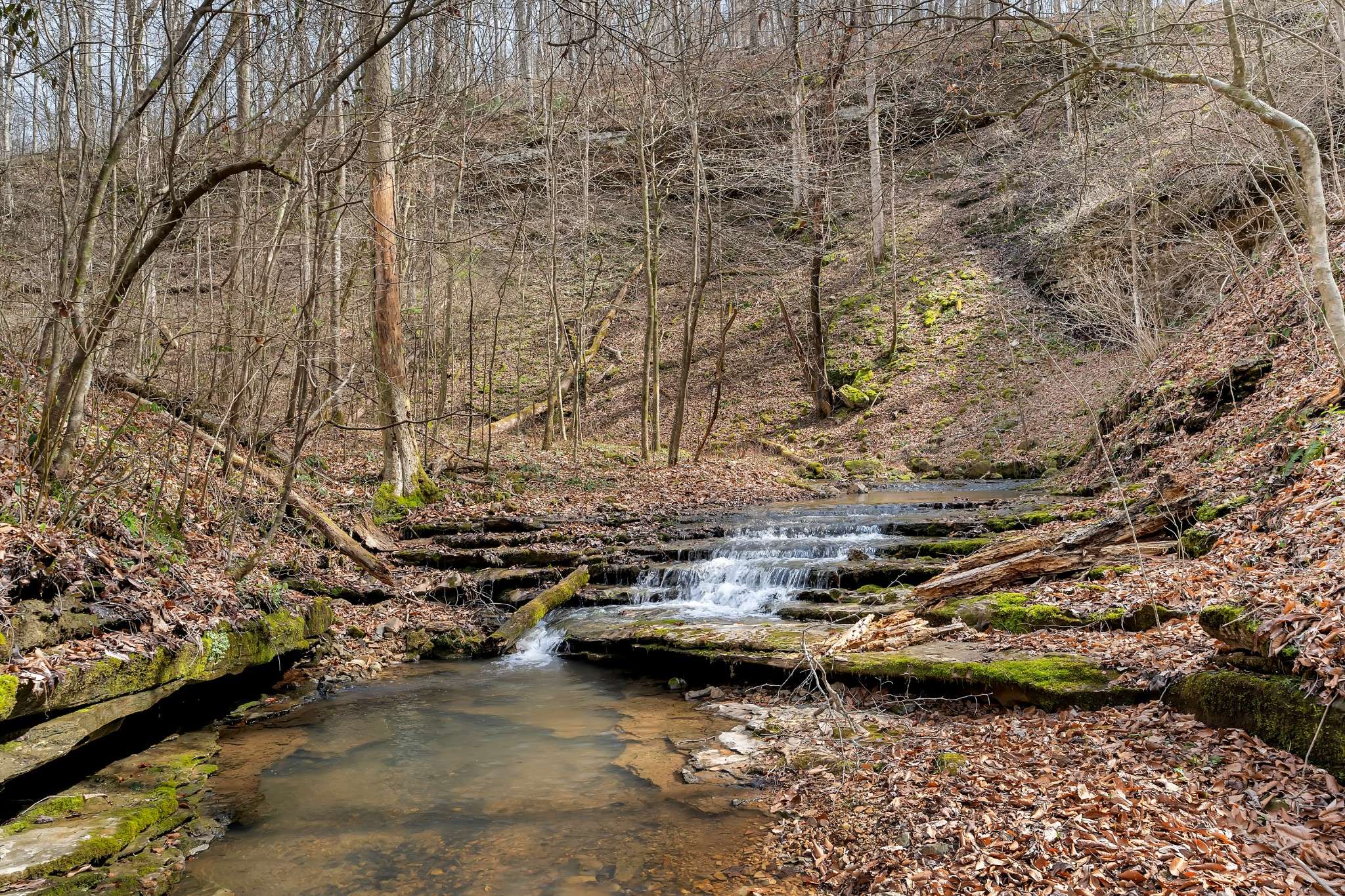 0 Jay Hutchings Road, Sparta, TN 38583