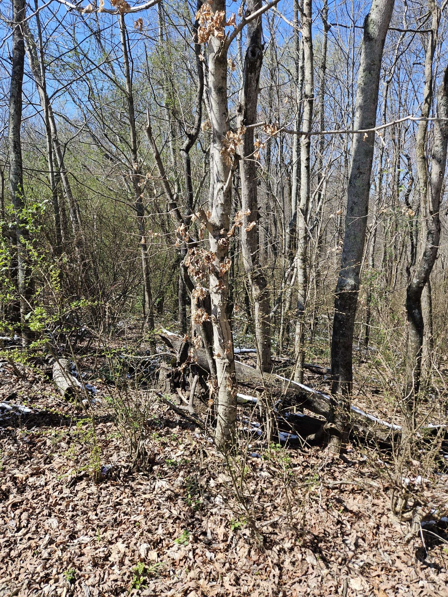 0 Lakeview Dr, Smithville, TN 37166