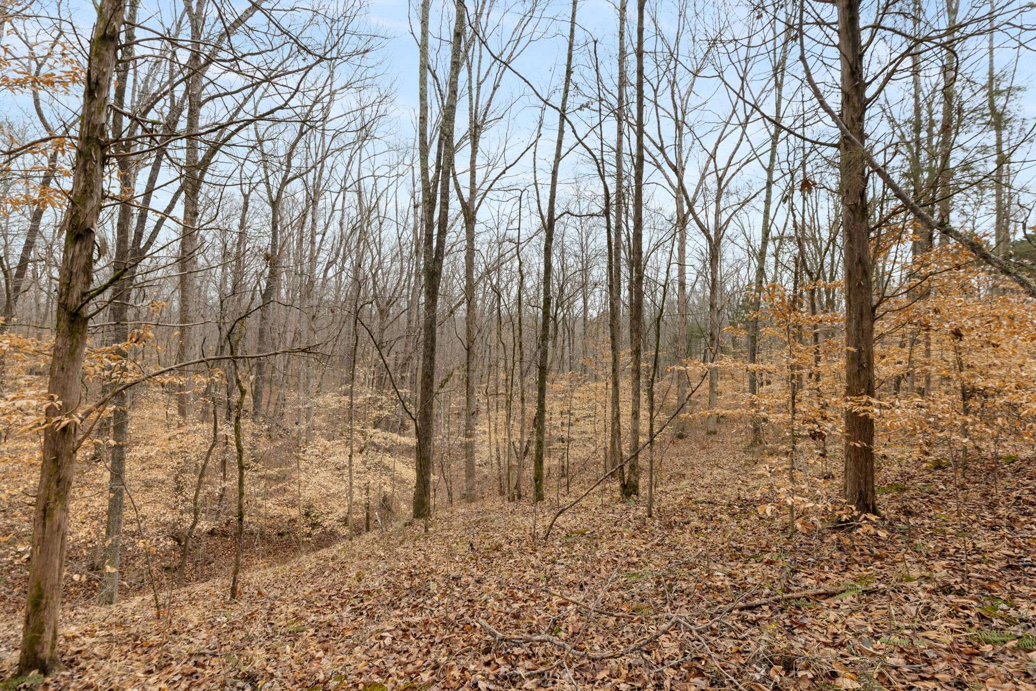 0 Griffintown Road, White Bluff, TN 37187
