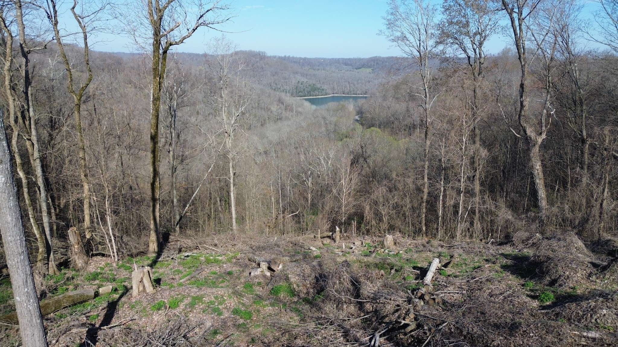 0 Lola Dr, Smithville, TN 37166