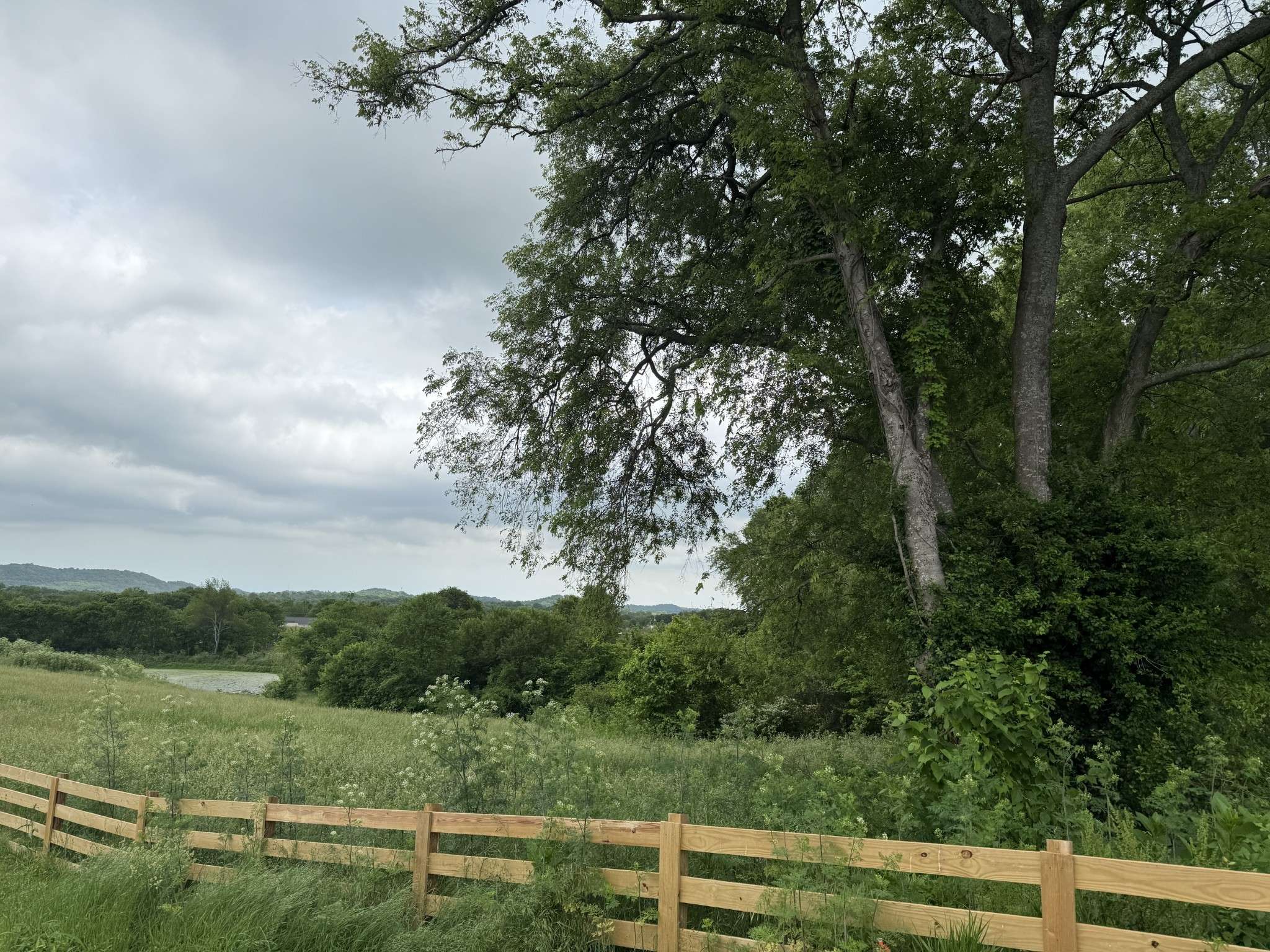 1024 Peak Dr, Castalian Springs, TN 37031
