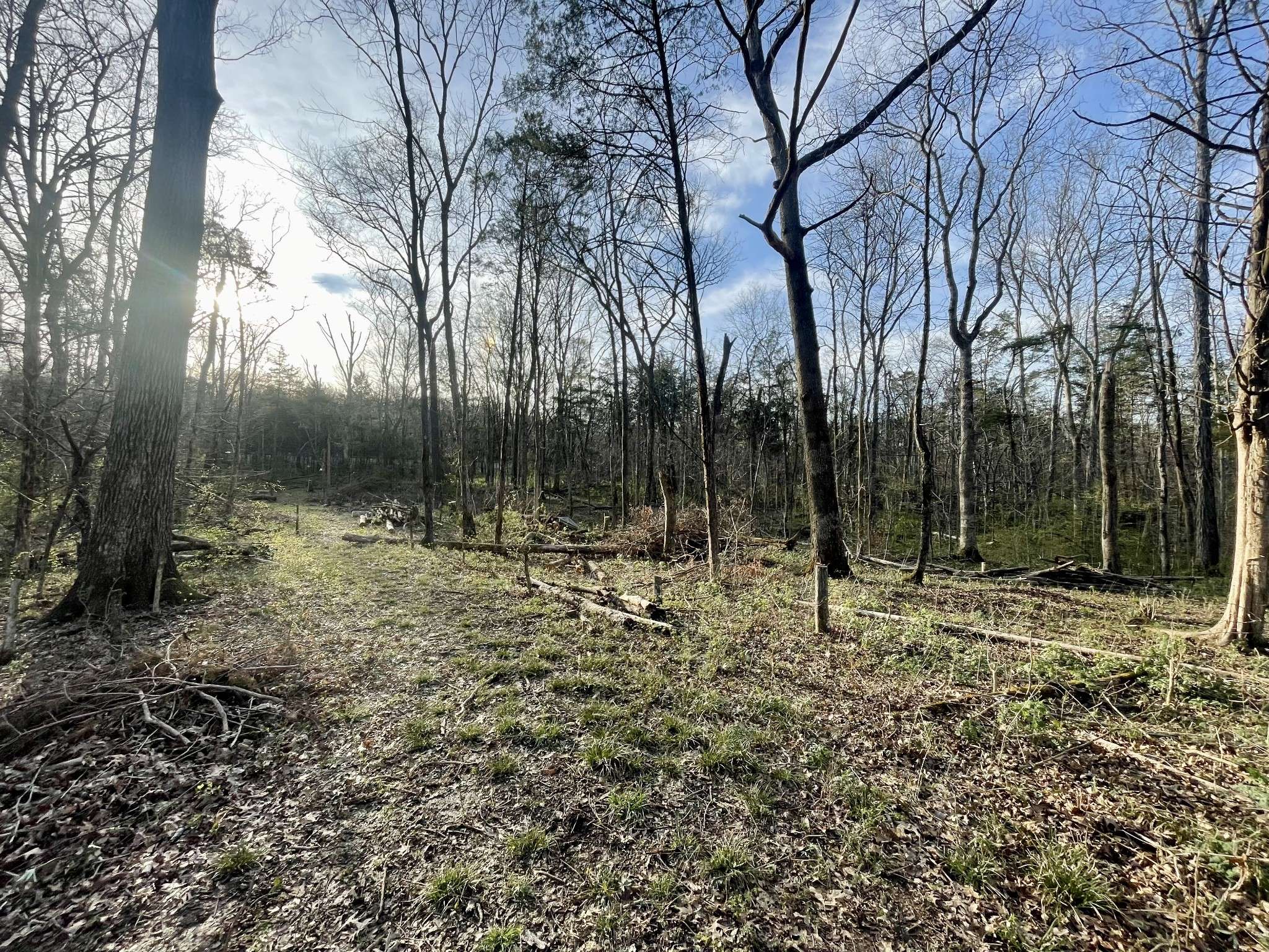 9290 Christiana Fosterville Rd, Christiana, TN 37037